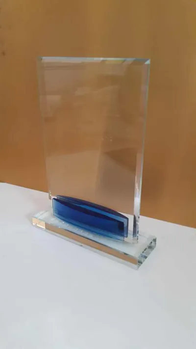 מגן הוקרה — מ.א. שיווק הפצה וייצור (13)