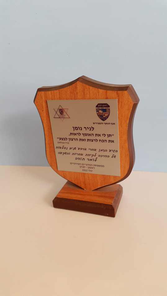 מגן הוקרה מתכת